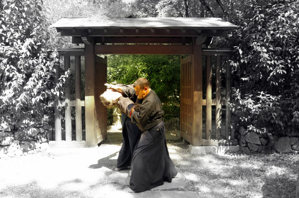 teicho -o soto gari